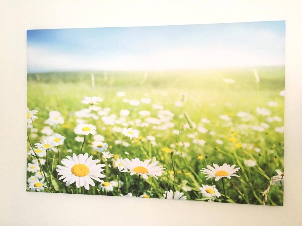 Apartment Flowerside Ρέγκενσμπουργκ Εξωτερικό φωτογραφία